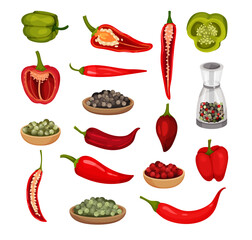 Wall Mural - Set of hot and sweet pepper. Green and red jalapeno, chili, paprika peppers and seeds. Fresh and dried spicy vegetables vector
