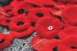 Remembrance Day red poppy flowers on Tomb of the Unknown Soldier in Ottawa, Canada.