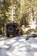© Mila - off-road car in the forest.