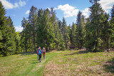 Tourists on the mountain Ćwilin Beskid Wyspowy (Lesser Poland) Szczyt "Ćwilin" w Beskidzie Wyspowym (Małopolska)