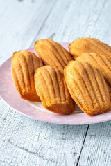 Sticker - Madeleines - French small sponge cakes