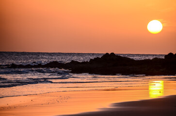 Canvas Print - Tropical Sunset