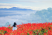 Landscape At Doi Mon Jam In The Morning Girl Walking In Flower Garden And Traveling At Mae Rim District Chiang Mai, Thailand
