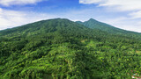 Beautiful tropical forest with Salak mountain
