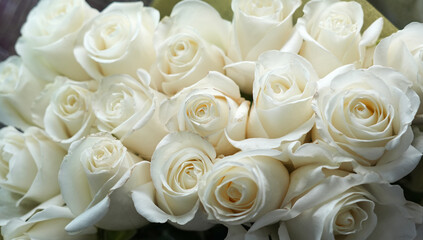 Fotomurales - fresh white roses in a bouquet as background