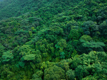 Aerial View Of Beautiful Tropical Forest Mountain Landscape
