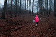 Dziecko samotne w lesie