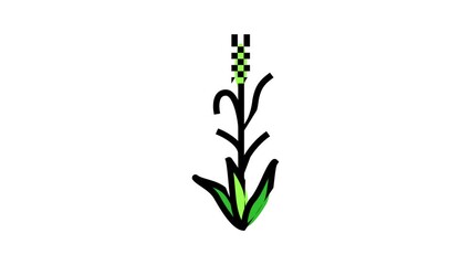 Sticker - green barley plant color icon animation