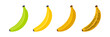 © Bilbo Baggins - Banana ripeness. Stages of growth and ripening of banana fruit. Selection of ripe banana.