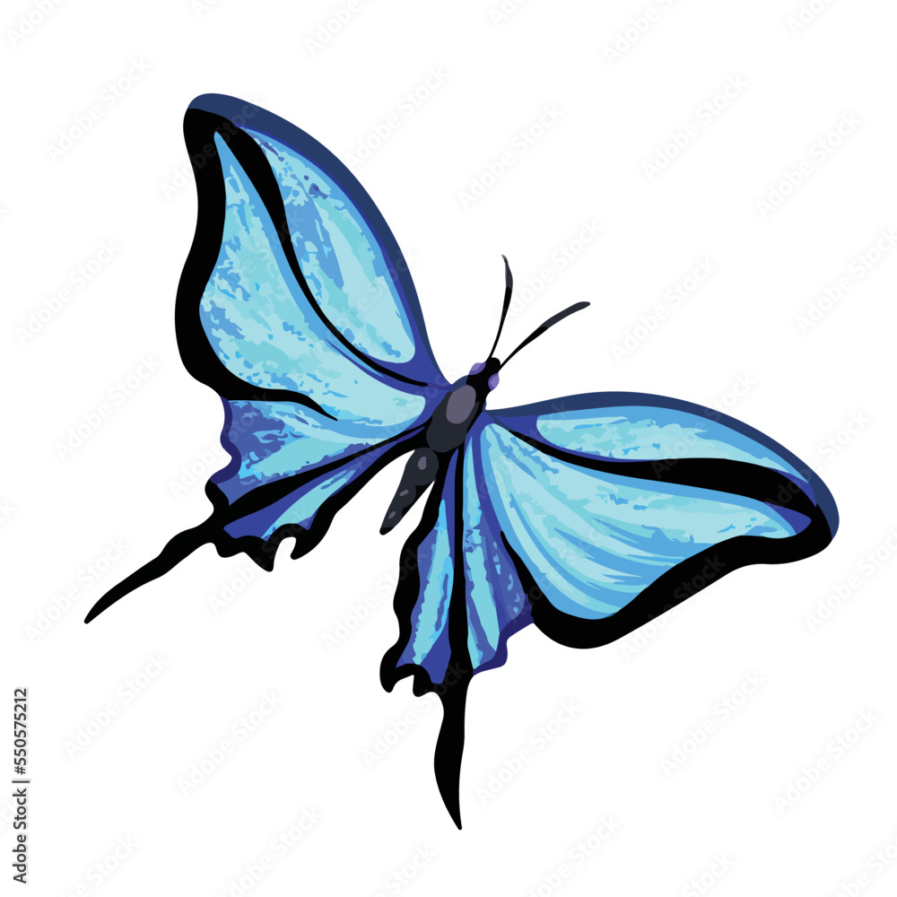 Blue butterfly full colored vector illustration isolated on white ...