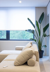 Leinwandbilder - Roller blinds in the interior. Roller shades white color on the window in the living room. A houseplant and a sofa are in the room. Control panel lies on the couch. 