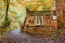 Remnants Of An Old Building In The Forest