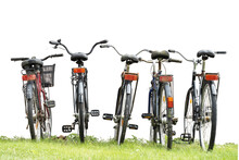 Rear View Of Bikes In A Row On Green Grass, Isolated Without Background
