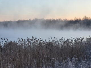 Wall Mural - fog on the river