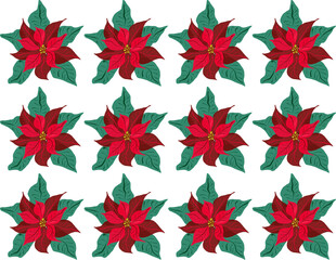 Wall Mural - christmas, floral, ornament, illustration, red and green, star, decoration, flower, design, plant, leaves, pink, green, decor, flowers, season, holiday, background, PNG