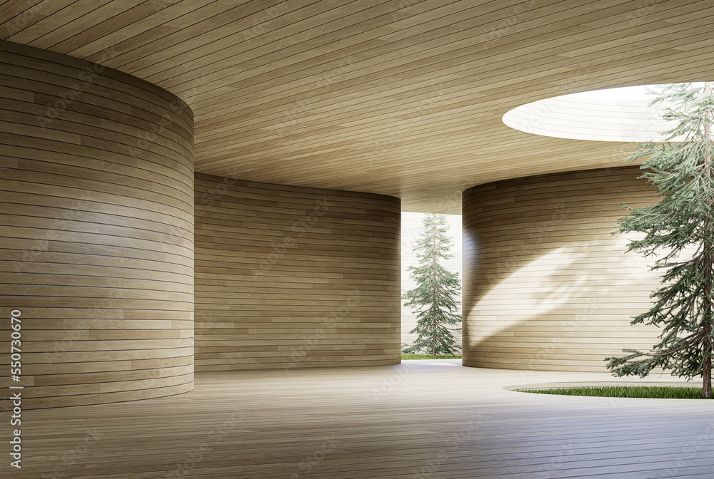 Abstract modern contemporary empty interior space with curve wooden ...