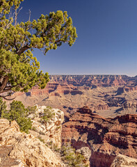 Wall Mural - Grand Canyon Arizona South Rim near Mather Point