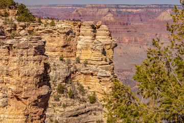 Wall Mural - Grand Canyon Arizona South Rim near Mather Point