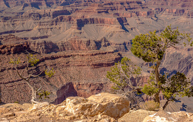 Wall Mural - Grand Canyon Arizona South Rim near Mather Point