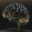 © lndstock - brain on a black background