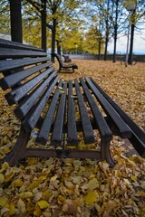 Poster - park bench in autumn