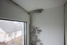 The Corner Of The Window Is Covered With Fungus. Mold In The House.