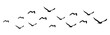 Leinwandbild Motiv Flying birds group transparent. Birds isolated on white.