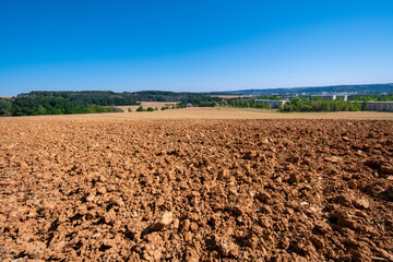 Sticker - plowed agricultural field and forest on the horizon