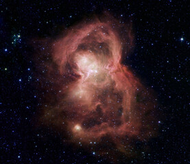 Wall Mural - the butterfly nebula w40. elements of this image were furnished by nasa.