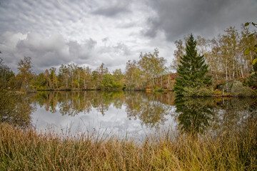 Wall Mural - Etang de Haute-Saône