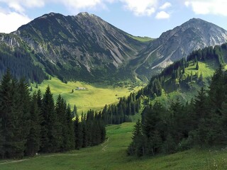 Sticker - Beautiful view of the green valley with mountains in the background. Austria.