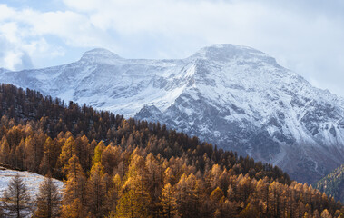 Sticker - The landscape of Alpe Devero, with the colors of autumn, the first snow and breathtaking views, near the village of Baceno, Italy - November 2022.