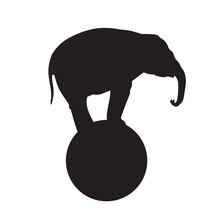 Silhouette of the elephant stands on the ball in isolate on a white background. Vector illustration.