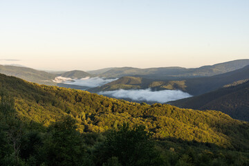 Wall Mural - Mountains in clouds at sunrise in summer. mountain with green trees in fog. Beautiful landscape with high rocks, forest, sky. mountain in clouds