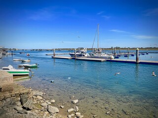 Canvas Print - View of a pier with some boats in summer and birds in the sky in Punta Umbria