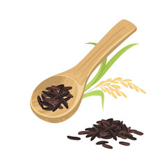 Wall Mural - Dark wild rice in wooden spoon and ear isolated on white background. Vector cartoon illustration of rice seed.