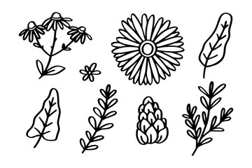Wall Mural - Set of Spring floral hand drawn line art illustration for ornament and design element