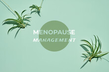 Menpause Management Banner, Card Design. Tradescantia, Spiderwort Plants On Mint Green Background. Flat Lay, Top View From Above.