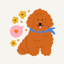 Hand-drawn Brown Poodle With Flowers And Berries. Concept Of Valentine's Day, Romance, Love. Cute Domestic Pet.