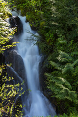 Wall Mural - Waterfall