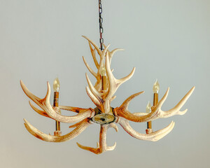 Typical chandelier found in hunting areas with wild life. This light fixture is faux antler or deer horn. It is hanging by a chain with ceiling above.