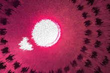 3d Illustration Of A White Circle In A Pink Explosion.