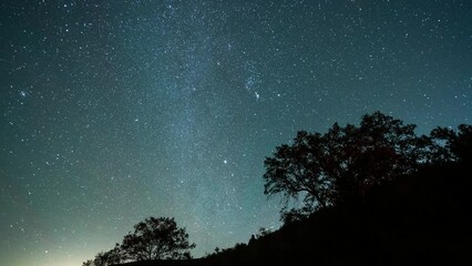 Wall Mural - The Milky Way Galaxy and Stars on Beautiful Dark Starry Night Sky 4K Time Lapse. Silhouette of Mountain Hill and Trees Background.