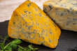 Cheese collection, English old shropshire blue and stilton blue cheeses