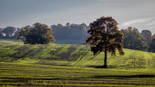 Kentish Farmland With Autumn Colours