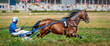 Jockey and horse. Trotting horse race. Race in harness with a sulky or racing bike. Harness racing. Trotting horse race. Sport banner