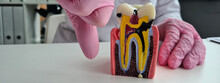 Anatomy Of Tooth With Caries And A Dentist Holding Thumbs Down