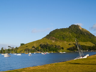 Canvas Print - Scenic Pilot Bay Mount Maunganui