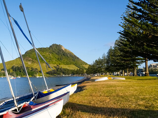 Canvas Print - Scenic Pilot Bay Mount Maunganui