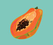 papaya peruvian fruit seeds vector illustration